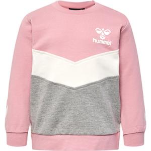 217997-8718-sweatshirt-baby-hummel-hmlskye-zephyr