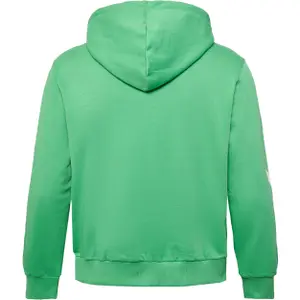 Sudadera con capucha Hummel legacy Plus image-1