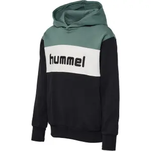Sudadera con capucha infantil Hummel Morten image-0