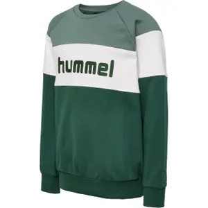 Children's hoodie Hummel claes image-0