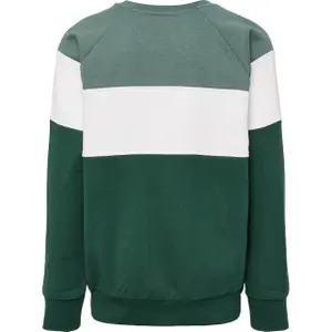 Children's hoodie Hummel claes image-1