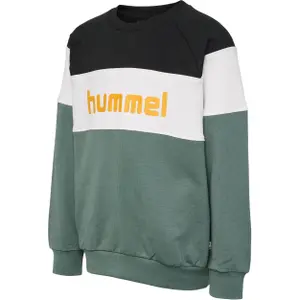 Sudadera con capucha para niños Hummel claes image-0