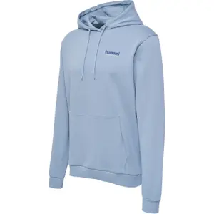 Sudadera con capucha Hummel lgc Gabe image-0