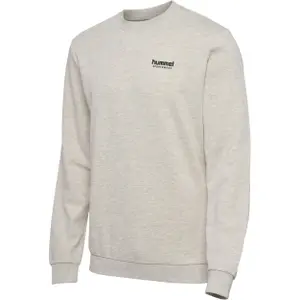 Sudadera Hummel Lgc Gabe image-0