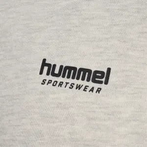 Sudadera Hummel Lgc Gabe image-2