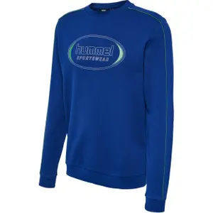 Sweatshirt Hummel Lgc Ryan image-0