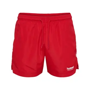 Calções de banho Hummel Lgc Ned image-0