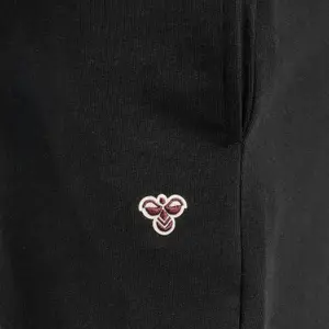 Pantalón de chándal Hummel hmlIC Fred image-3