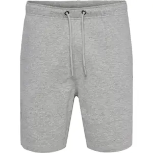 Shorts Hummel hmlIC Fred image-1