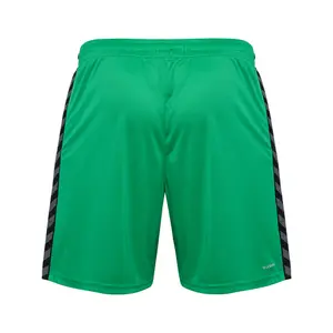 Polyester shorts Hummel Authentic image-2