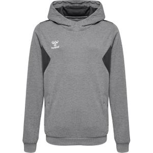 219977-2006-children-s-polyester-hoodie-hummel-authentic-grey-grey