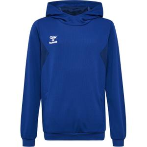 219977-7045-hooded-sweatshirt-polyester-child-hummel-authentic-blue-blue