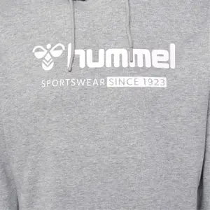 Sweat con capucha Hummel Fav Big Logo image-2