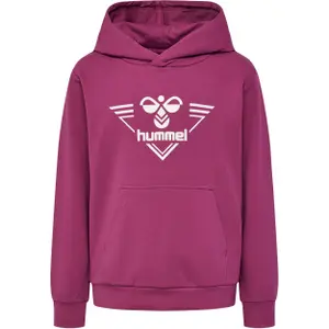 Sudadera con capucha infantil Hummel Gail image-0