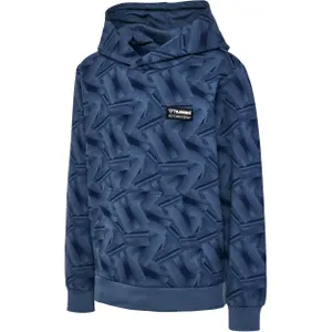 Sudadera con capucha infantil Hummel Richardo image-1