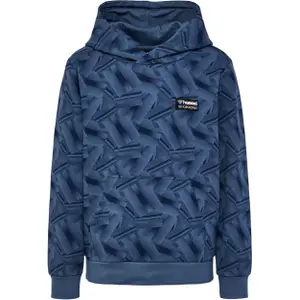 Sudadera con capucha infantil Hummel Richardo image-0