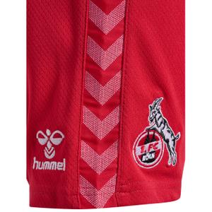 Children's Outdoor Shorts FC Cologne 2023/24 image-3