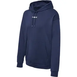 Camisola com capuz Hummel LGC Nate image-0