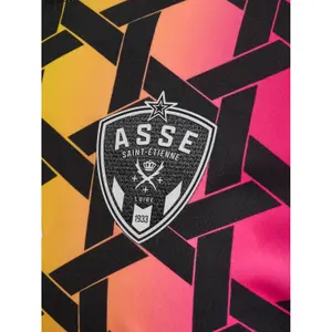 Torwarttrikot ASSE 2023/24 image-3