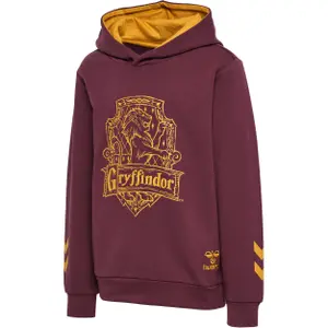 Sudadera con capucha para niños Hummel Harry Potter image-0