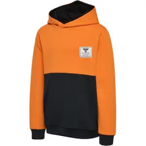Sudadera con capucha infantil Hummel Ozzy image-1
