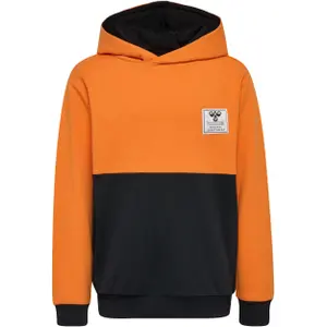 Sudadera con capucha infantil Hummel Ozzy image-0