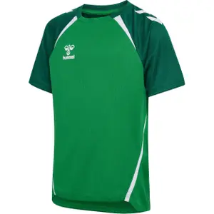 Children's jersey Hummel Lead 2.0 image-1