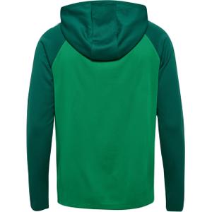 Hooded sweatshirt Hummel Lead 2.0 image-2