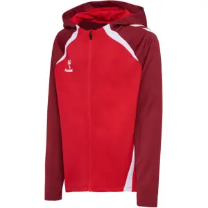 Hooded sweatshirt for kids Hummel Lead 2.0 image-1