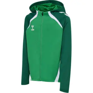 Hooded sweatshirt for kids Hummel Lead 2.0 image-1