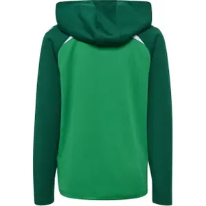 Hooded sweatshirt for kids Hummel Lead 2.0 image-3