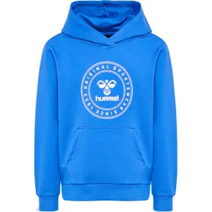 Sweatshirt à capuche enfant Hummel Cuatro Circle image-0