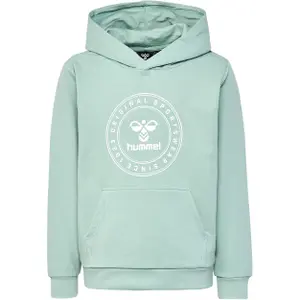 Sudadera con capucha infantil Hummel Cuatro Circle image-0