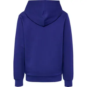 Sudadera con capucha infantil Hummel Cuatro Circle image-2