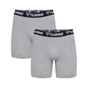 Boxershorts Hummel (x2) image-0