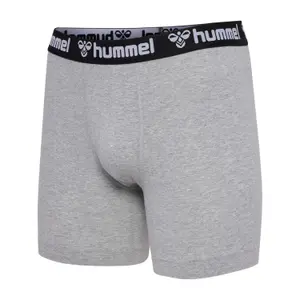 Boxershorts Hummel (x2) image-2