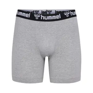 Boxershorts Hummel (x2) image-1