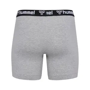 Boxershorts Hummel (x2) image-3