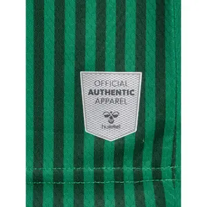 Heimtrikot Werder de Brême 2023/24 image-6