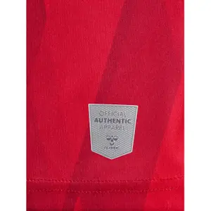 Heimtrikot Aalborg FC 2023/24 image-4