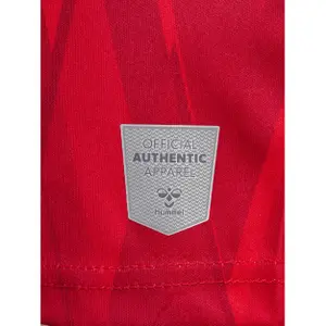 Heimtrikot Kinder Aalborg FC 2023/24 image-5