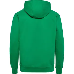 Camisola com capuz Hummel Go 2.0 image-1