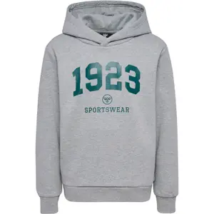 Φούτερ με κουκούλα για αγόρια Hummel hmlNIPPS image-0