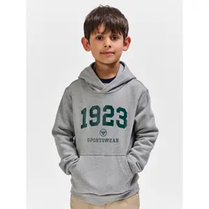 Φούτερ με κουκούλα για αγόρια Hummel hmlNIPPS image-1