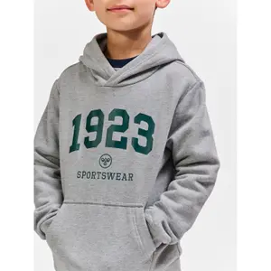Φούτερ με κουκούλα για αγόρια Hummel hmlNIPPS image-6