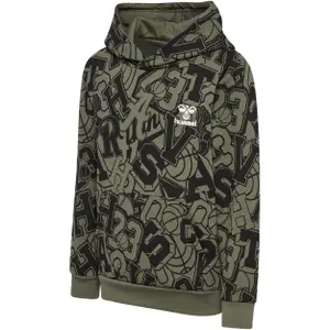 Hummel Allton Kids Hoodie image-1