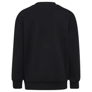 Sudadera niño Hummel hmlMOLT image-4