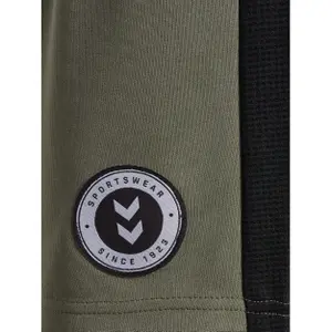 Σορτς αγόρι Hummel hmlODIN image-3