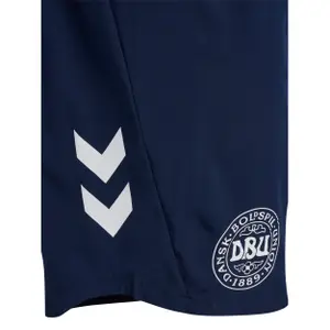 Short Training Denmark Pro TR 2023/24 image-3