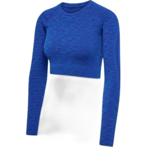 Women's long sleeve crop top Hummel MT Leo image-0